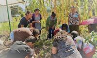 Recuperar saberes sobre plantas medicinales